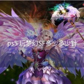 ps5 玩梦幻SF多少多少针