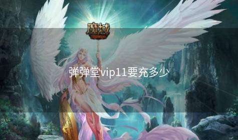 弹弹堂vip11要充多少