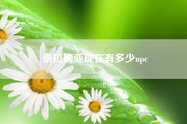 泰拉瑞亚现在有多少npc