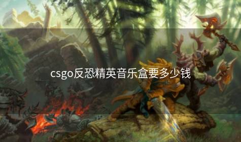 csgo反恐精英音乐盒要多少钱