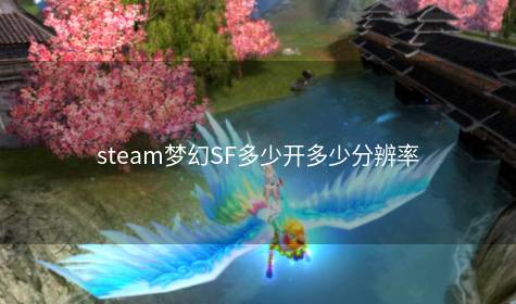 steam梦幻SF多少开多少分辨率