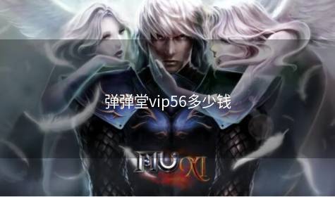 弹弹堂vip56多少钱