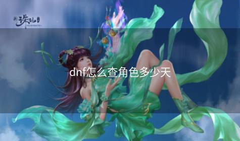 dnf怎么查角色多少天